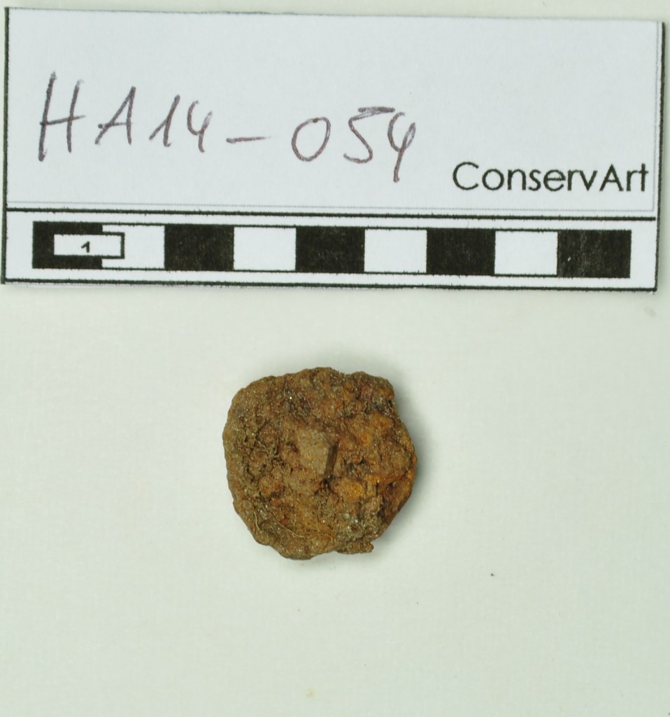 Figure 1 - Clou de chaussure romain (HA14-054) dans sa gangue de corrosion et de sédiments
