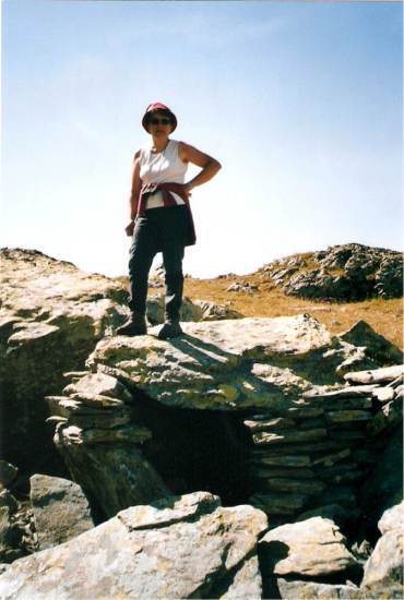 Figure_2_2006-689x1024